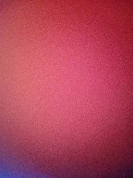 bustybillies online show from 7, 3, 2026