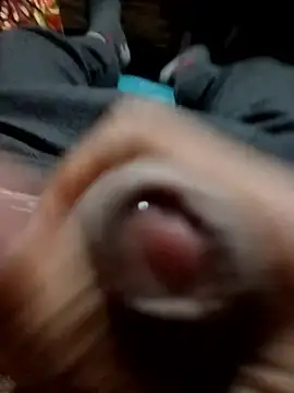 Dreamdaze2025 online show from 8, 1, 2026