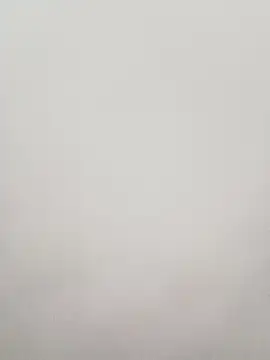 El baby12 online show from 12, 1, 2026