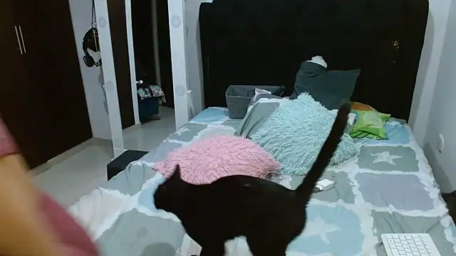 amazonafit  online show from 27, 2, 2025