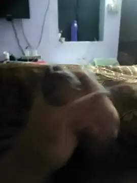 youngbull 21delhi online show from 18, 3, 2025