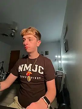 Snapshot of twentywithafelonyy chatting on 4, 3, 2025 twentywithafelonyy online show from 4, 3, 2025