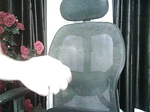 Gulabo 143 online show from 16, 2, 2025