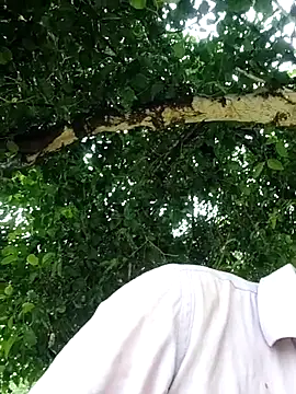 Ishan003 online show from 8, 8, 2026