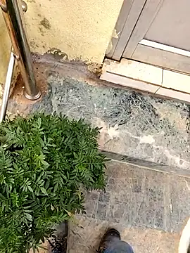 Ishan003 online show from 6, 3, 2026