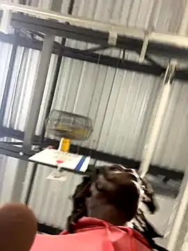 sneakylink13   online show from 20, 10, 2025