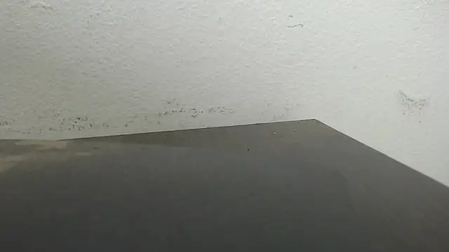 JackSwan18 online show from 29, 6, 2026