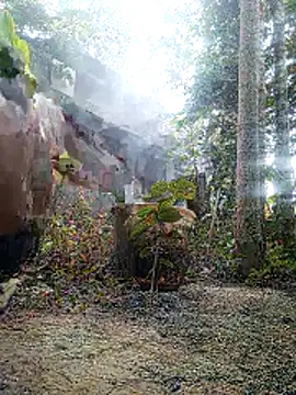 AssamSilchar93 online show from 1, 2, 2026