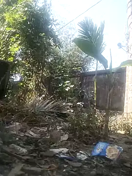 AssamSilchar93 online show from 8, 2, 2026