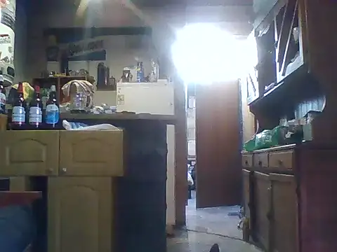 ar Lily online show from 8, 12, 2024