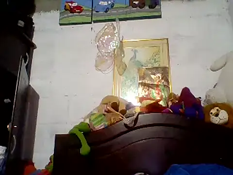 dafne19  online show from 5, 3, 2025
