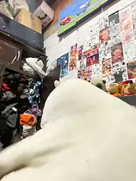 dafne19  online show from 6, 2, 2026