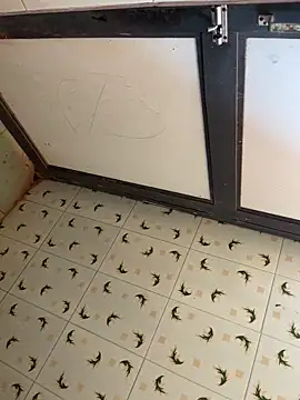 SnapIDRakesh4 online show from 21, 3, 2025