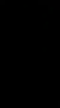 SnapIDRakesh4 online show from 13, 3, 2025