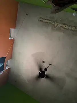 SnapIDRakesh4 online show from 26, 2, 2025