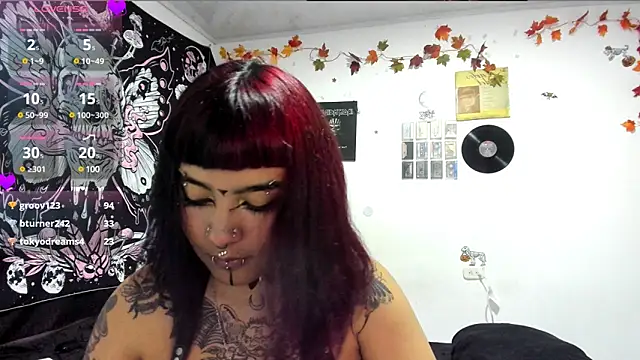 sheccid  online show from 15, 1, 2025