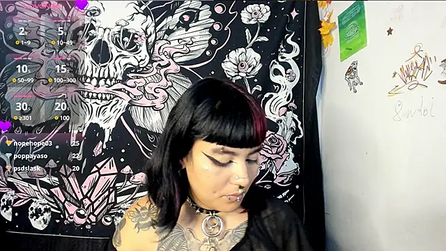 sheccid  online show from 17, 12, 2024