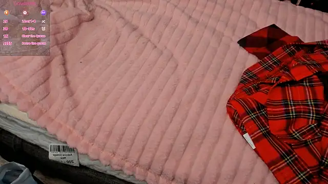 ZeldaDwight online show from 20, 12, 2024