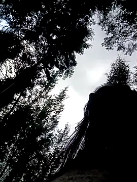 cindy damm online show from 15, 4, 2026