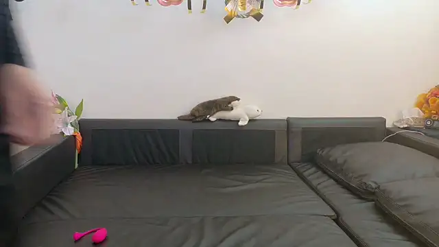 Angels1-2-3-4-5 online show from 8, 1, 2026