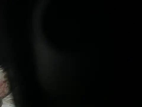 JOJO xxx 123 online show from 7, 4, 2026