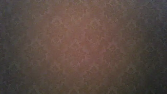 Kashtanka  online show from 21, 11, 2025