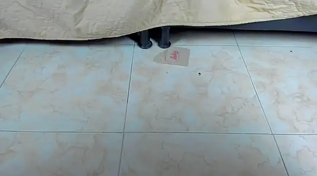 Chloe lauren online show from 19, 1, 2025