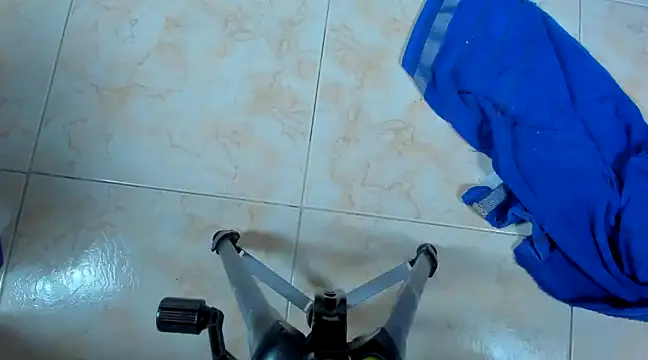 Chloe lauren online show from 16, 1, 2025