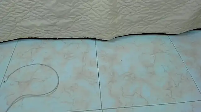 Chloe lauren online show from 24, 12, 2024