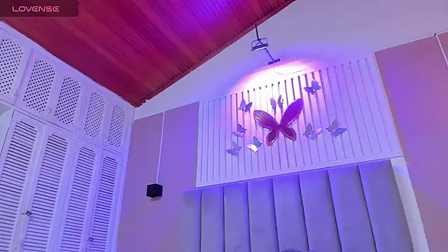 dyvis 22 online show from 6, 11, 2025