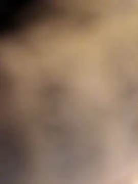 Jsexconn69 online show from 16, 2, 2026