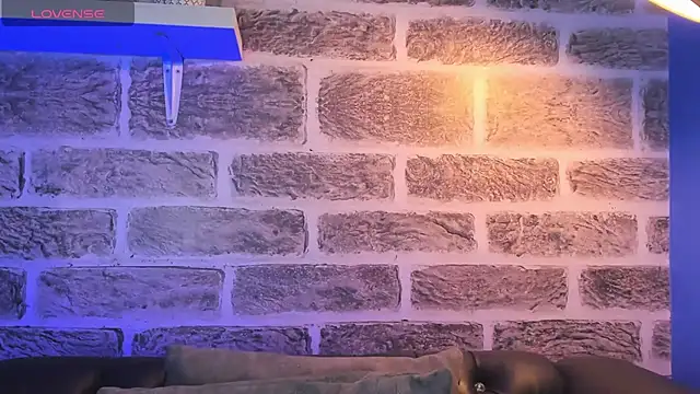 Snapshot of noah_ricci chatting on 14, 10, 2025 noah ricci online show from 14, 10, 2025