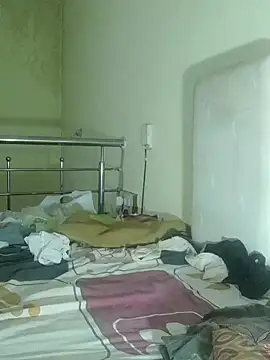 Chocolate stud10 online show from 1, 11, 2025