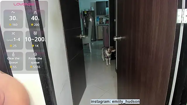 emily huddson  online show from 23, 10, 2025