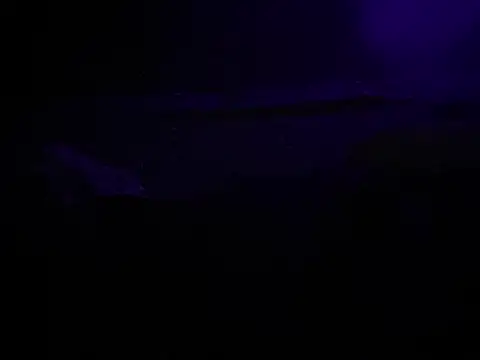 BigMac1596 online show from 25, 10, 2025