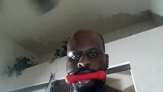 HBYAM online show from 12, 1, 2026