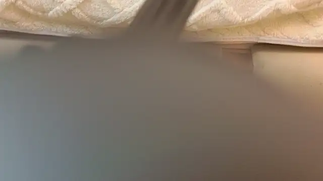 Ariana Lu online show from 8, 3, 2025