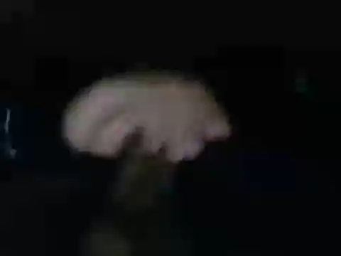 mateomalp675 90 online show from 18, 11, 2025