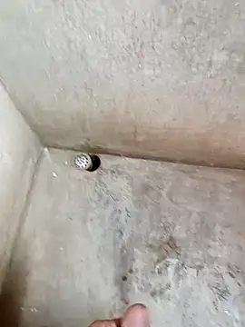 900irani online show from 10, 12, 2024