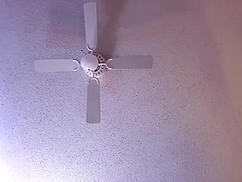 big8dall online show from 20, 12, 2025