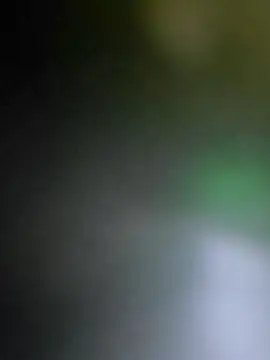 big8dall online show from 4, 12, 2025