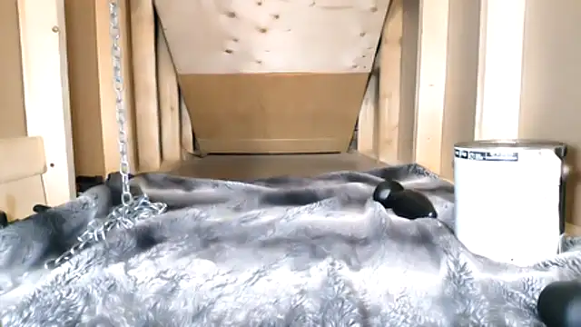 cbtbetaloser online show from 16, 2, 2026