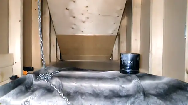 cbtbetaloser online show from 17, 2, 2026