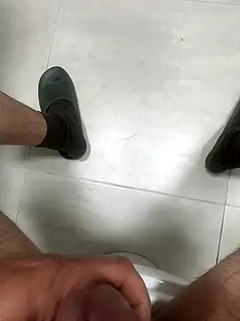 homidor online show from 30, 10, 2025