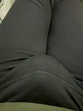 homidor online show from 19, 1, 2025