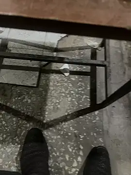 homidor online show from 11, 1, 2025