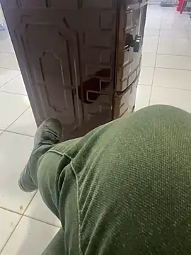 homidor online show from 17, 11, 2025