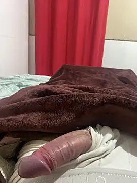 novinhoroludo8 online show from 28, 4, 2026