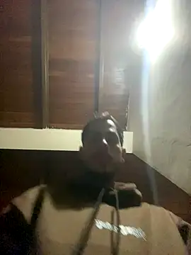 Dalton oficial online show from 6, 1, 2026