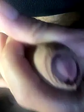 falloso77 online show from 4, 12, 2024